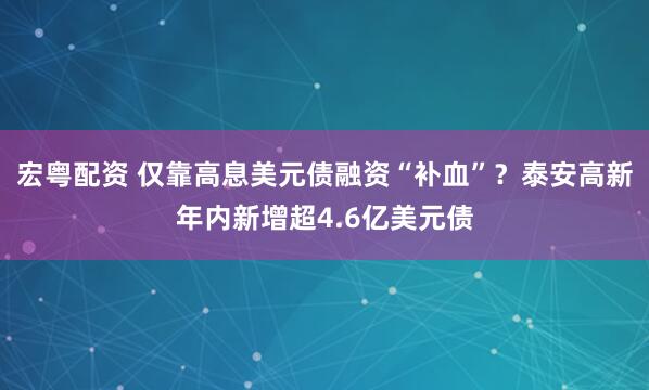 宏粤配资 仅靠高息美元债融资“补血”？泰安高新年内新增超4.6亿美元债