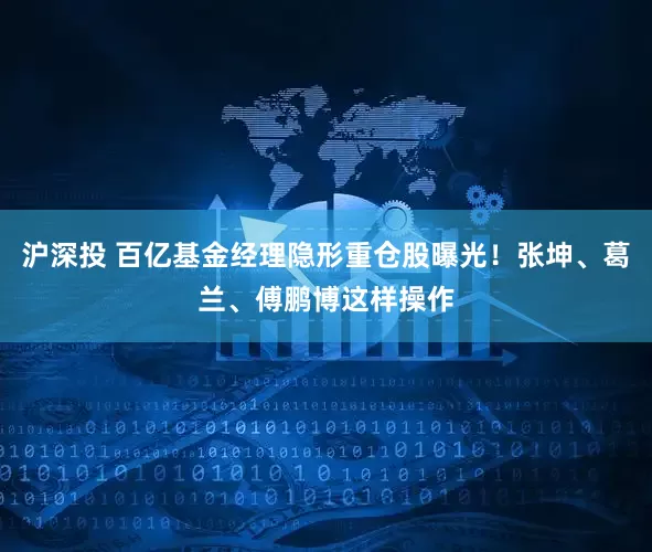沪深投 百亿基金经理隐形重仓股曝光！张坤、葛兰、傅鹏博这样操作