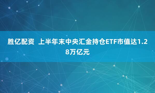 胜亿配资  上半年末中央汇金持仓ETF市值达1.28万亿元